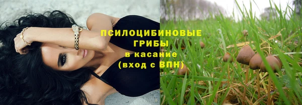 прущие грибы Ельня