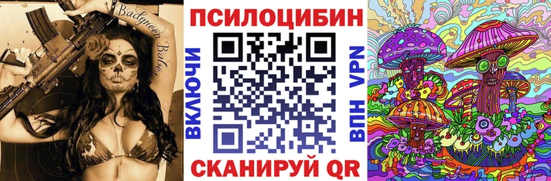 Купить где  Семёнов  Псилоцибиновые грибы MAGIC MUSHROOMS 